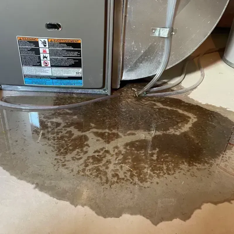 Appliance Leak Cleanup in Hayti, MO